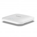 Netgear WAX214